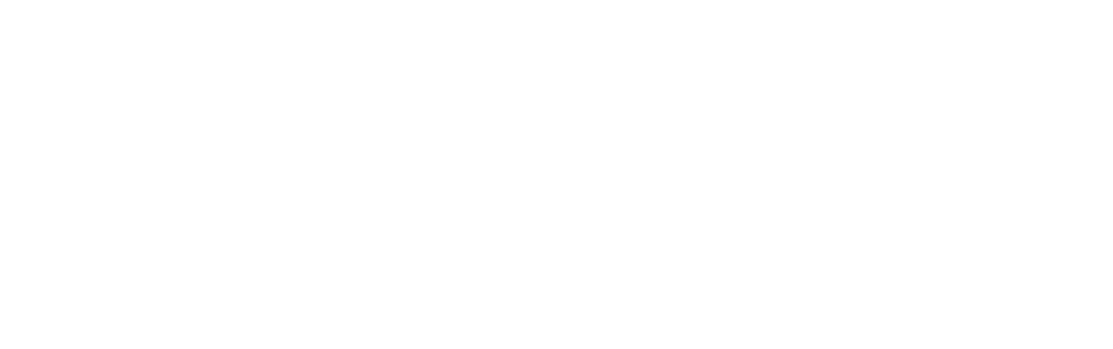 Salon Logo