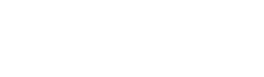 Salon Logo