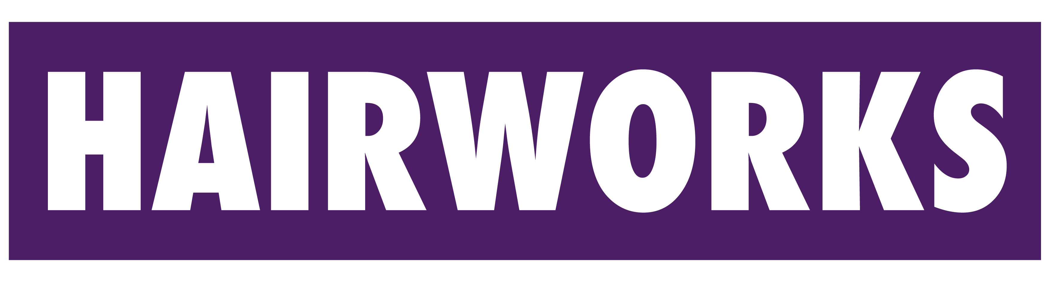 Salon Logo