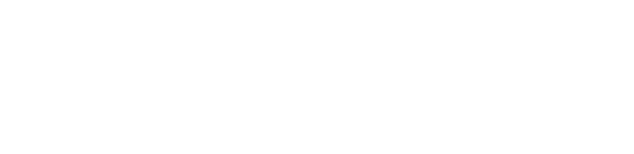 Salon Logo