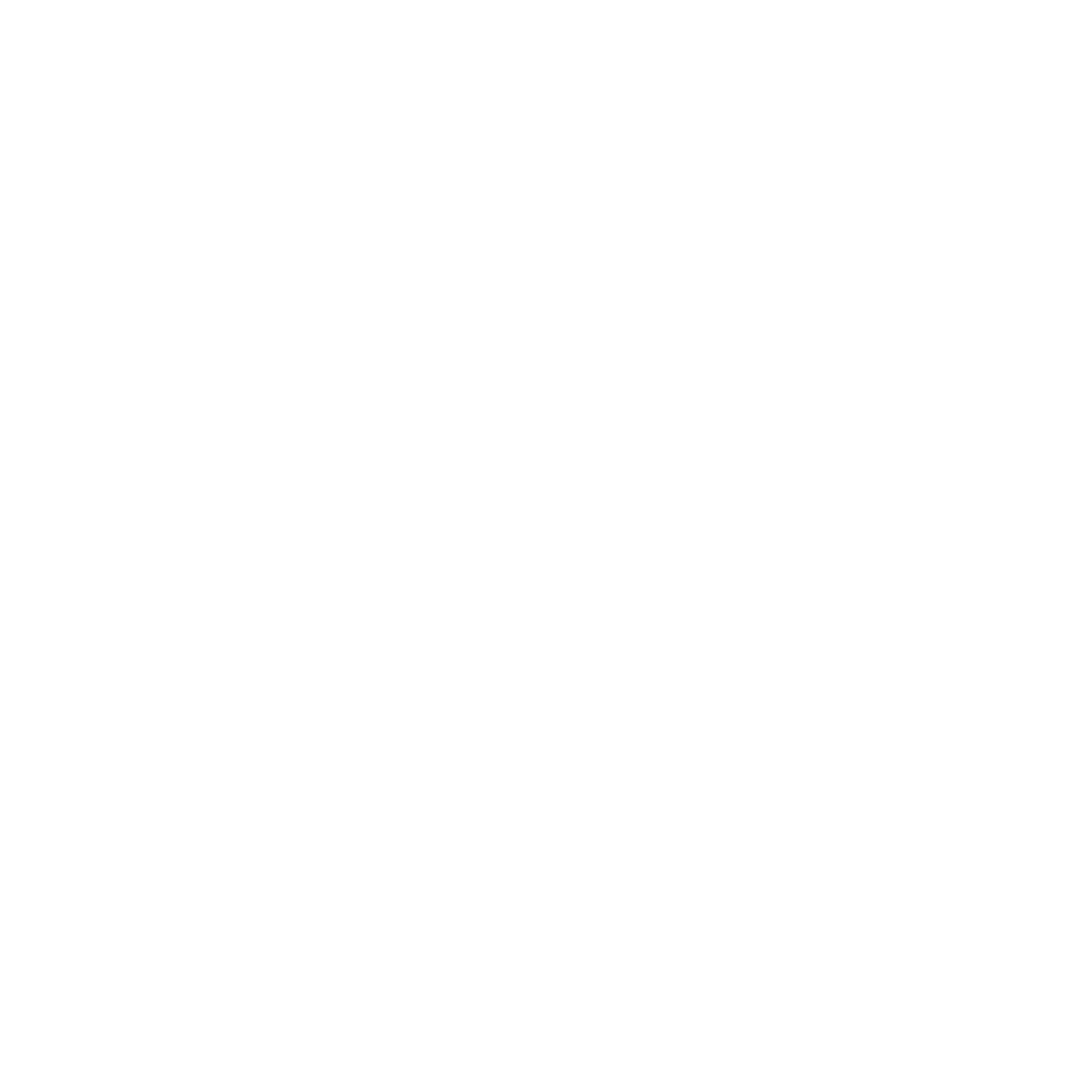Salon Logo
