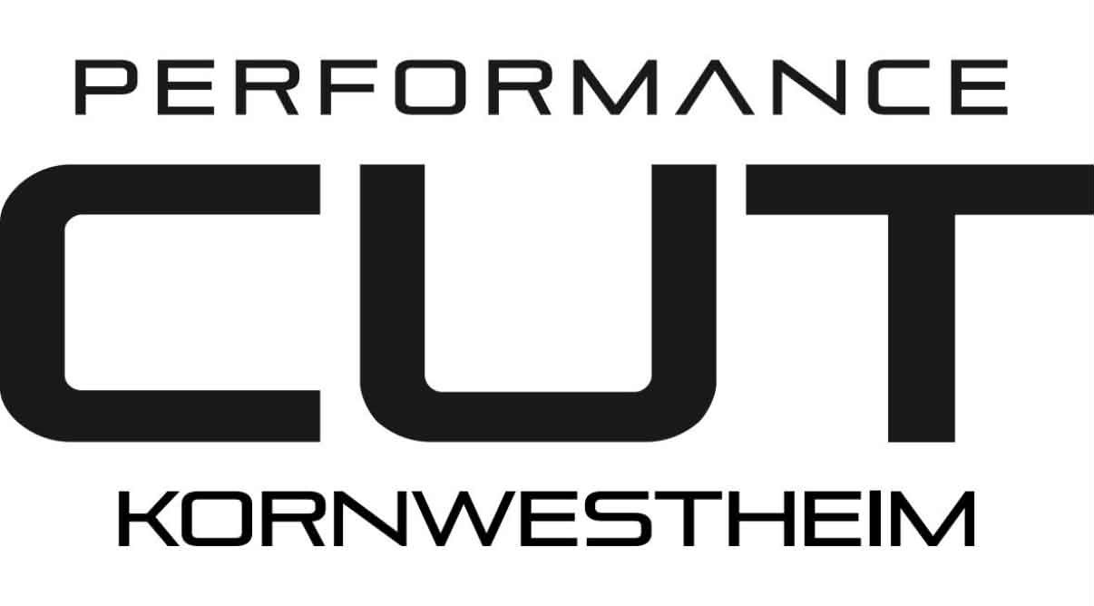 Salon Logo
