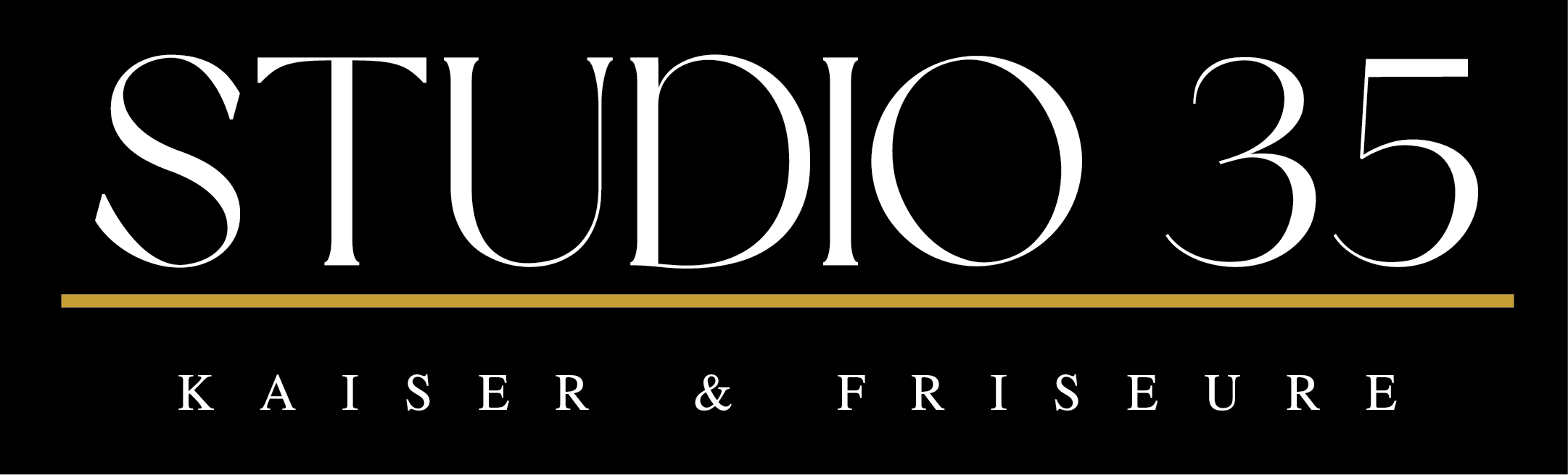 Salon Logo